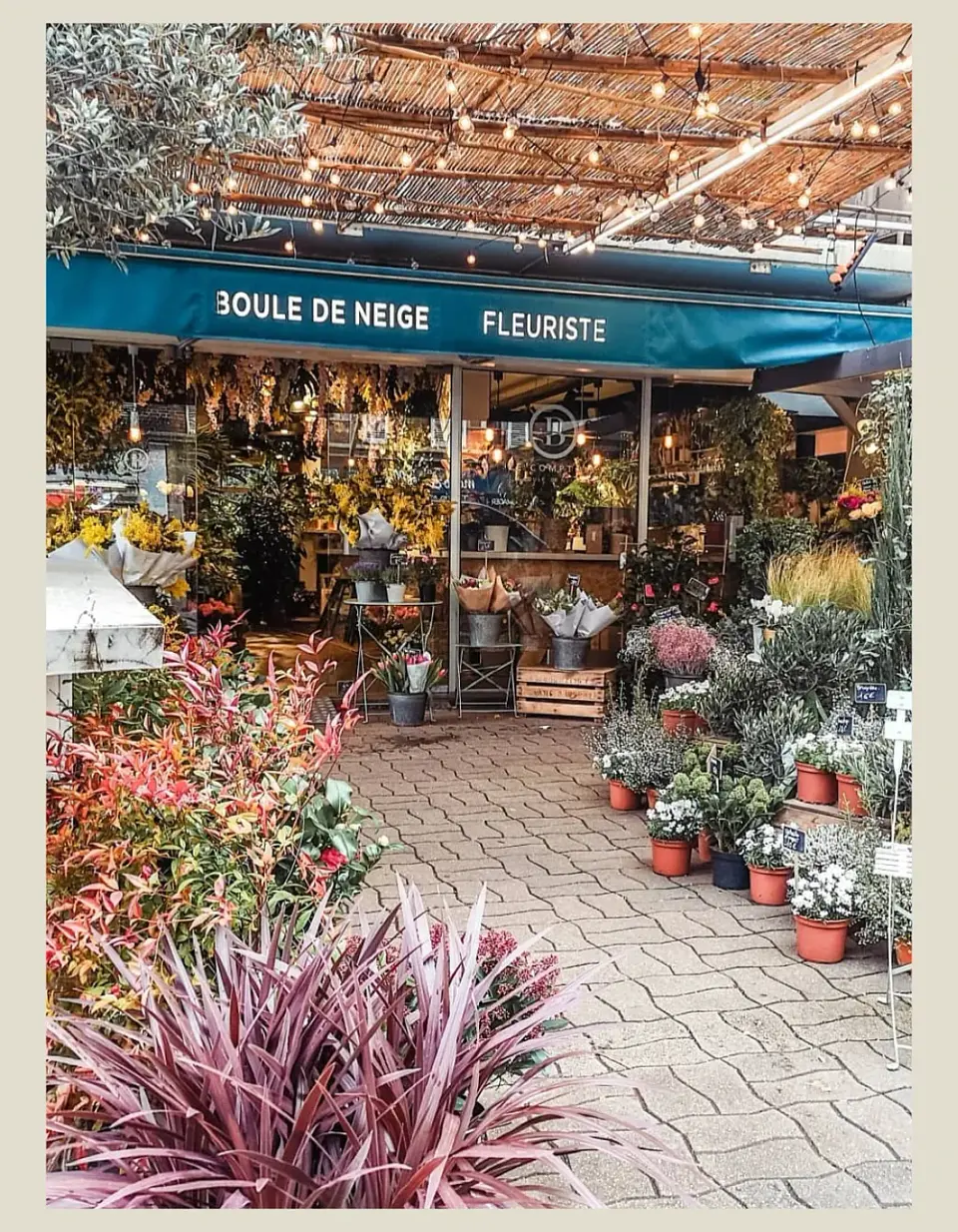 Monthlee - Demo n°1 - T3-seller-show-about